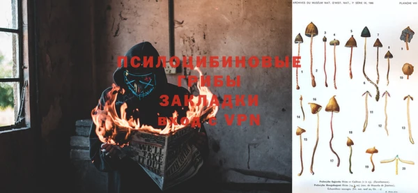 прущий лед Алзамай