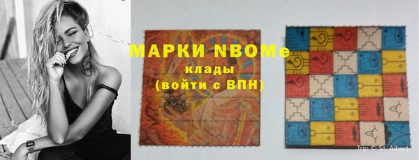 СК Алексин