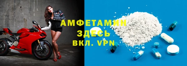 СК Алексин