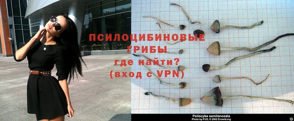 кокаин Алексеевка