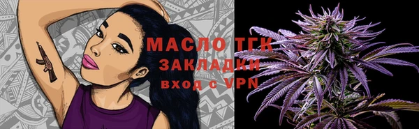 СК Алексин