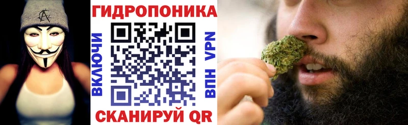 Бошки марихуана OG Kush Каспийск